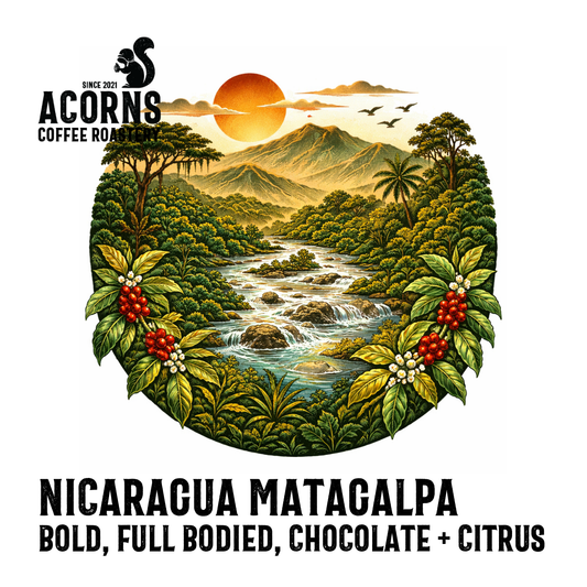Medium roast Nicaragua Matagalpa coffee by Acorns Coffee & Cake featuring bold chocolate and citrus flavors in a bag.