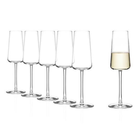 Six Stolzle Power champagne glasses with 240ml capacity, clear glassware for elegant toasts and celebrations.