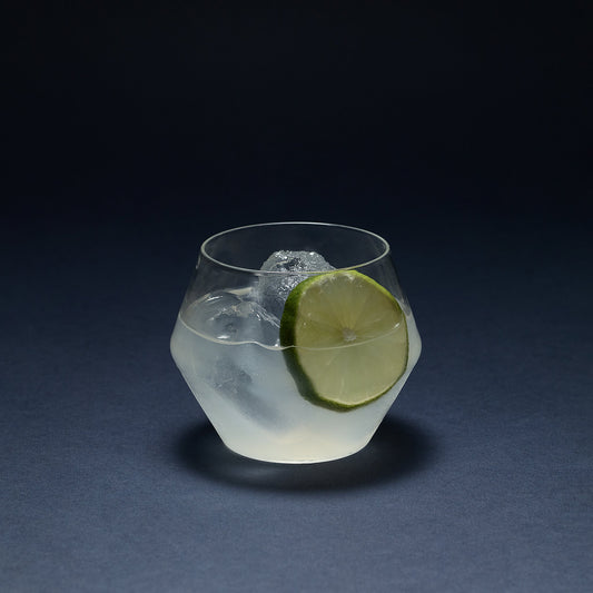 Set of two Aaron Probyn JUNIPER short tumbler glasses with clear glass design, ideal for drinks and casual glassware.
