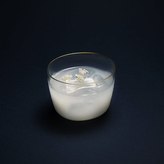 Set of 2 Aaron Probyn COVE short glassware with clear, smooth glass design, perfect for beverages.