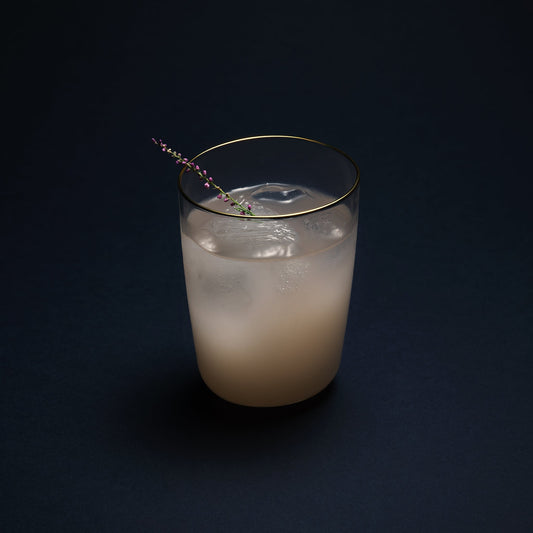 Set of two Aaron Probyn COVE stemless wine glasses with clear glass and smooth, rounded design.