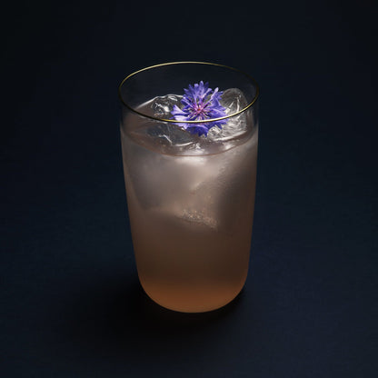 COVE highball glass / set of 2