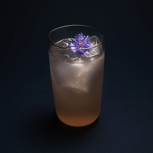 Set of two Aaron Probyn COVE highball glasses, clear glass with sleek modern design, perfect for cocktails and beverages.
