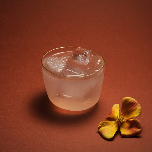 Set of 2 Aaron Probyn COVE short glass tumblers with clear glass and smooth rounded edges.