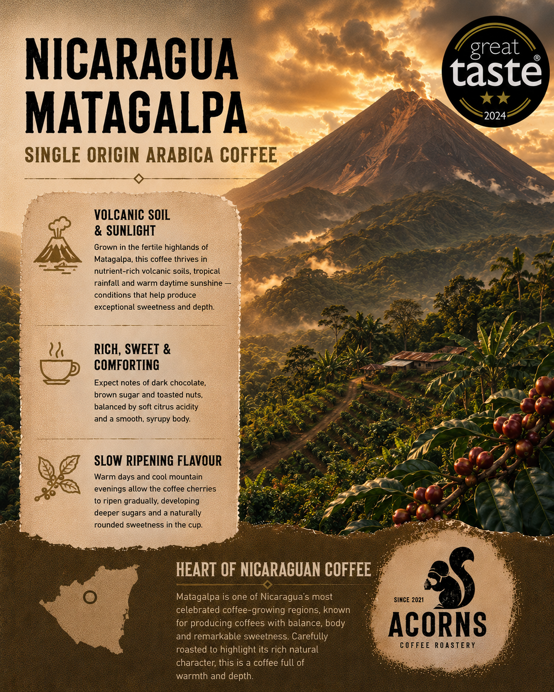 Medium roast Nicaragua Matagalpa coffee by Acorns Coffee & Cake, showing a rich, bold coffee bean with volcanic origins.