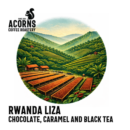 Medium roast Rwanda Liza coffee by Acorns Coffee & Cake featuring rich chocolate and caramel flavors in a fresh brewed cup.