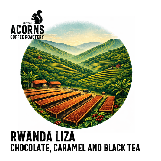Rwanda Liza Medium Roast Acorns Coffee & Cake