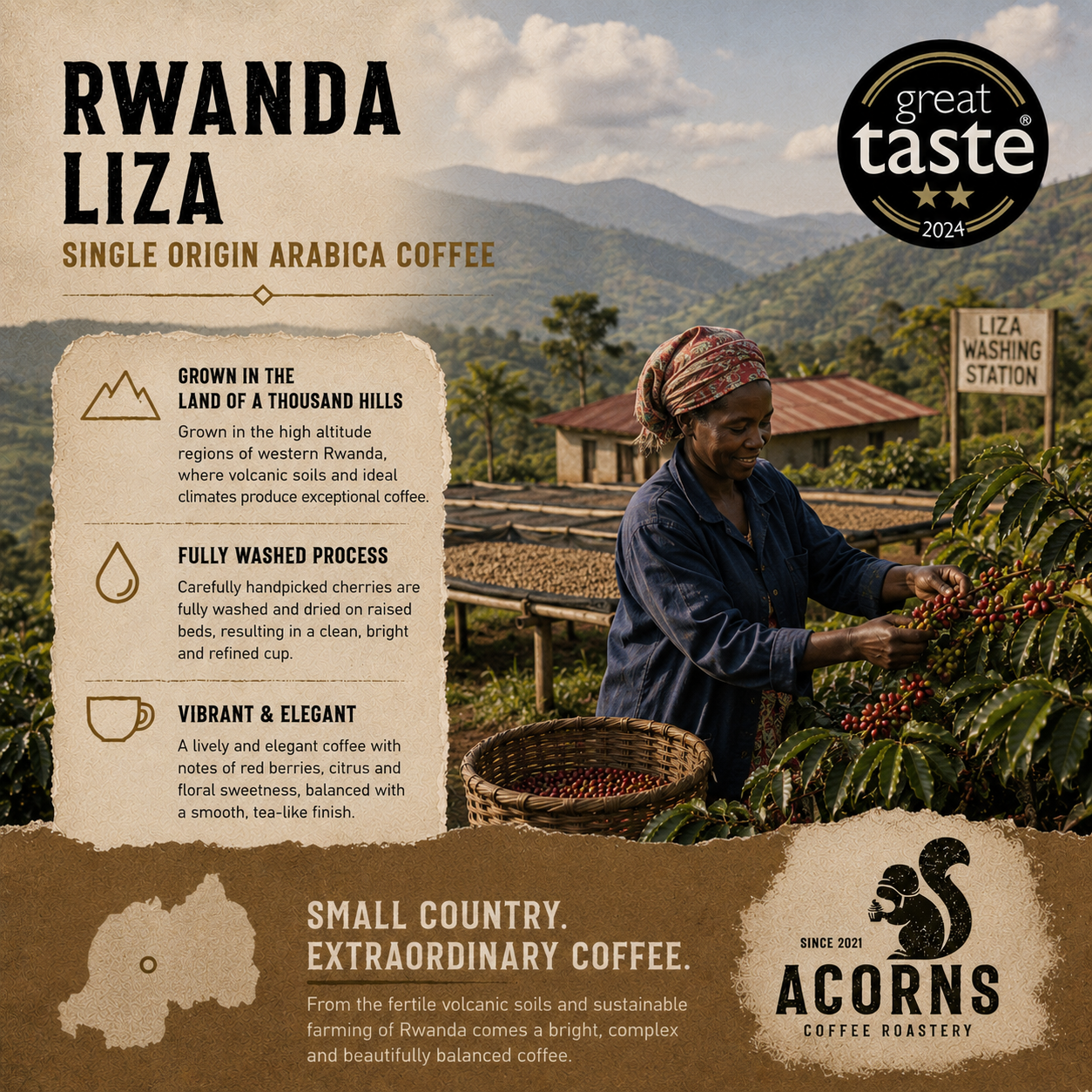 Medium roast Rwanda Liza coffee by Acorns Coffee & Cake, shown in a bag with a rich, flavorful appearance.