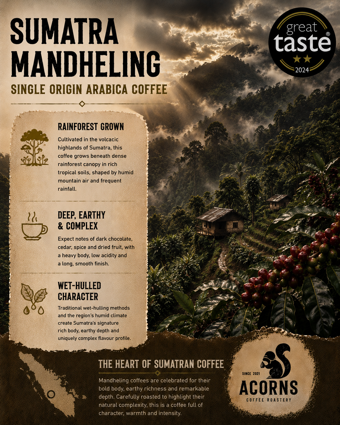 Medium roast Sumatra Mandheling coffee beans by Acorns Coffee & Cake, showcasing deep, complex, and bold coffee beans.
