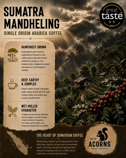 Medium roast Sumatra Mandheling coffee beans by Acorns Coffee & Cake, showcasing deep, complex, and bold coffee beans.