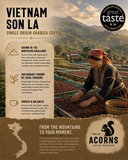 Medium roast Vietnam Son La coffee by Acorns Coffee & Cake, featuring robust, smooth, and balanced coffee beans in a natural setting.