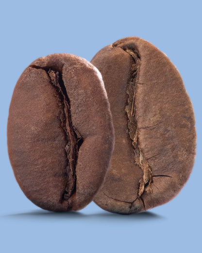 Aire Street Blend