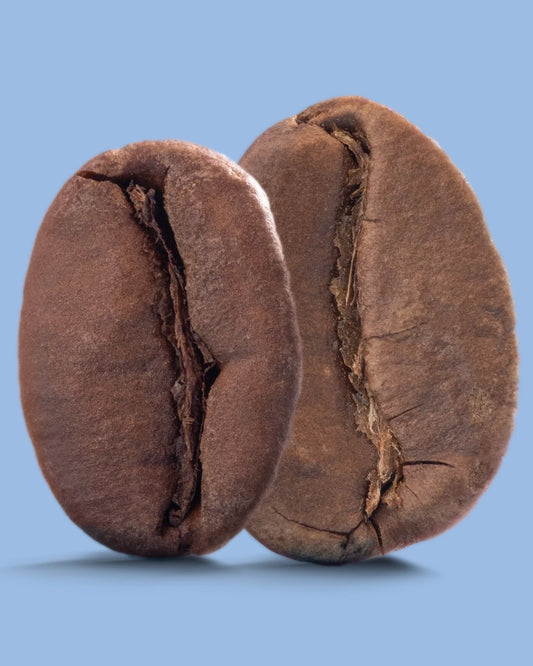 Recent Beans Aire Street Blend Light Medium Roast Coffee in a bag with a label and coffee beans on a wooden surface.