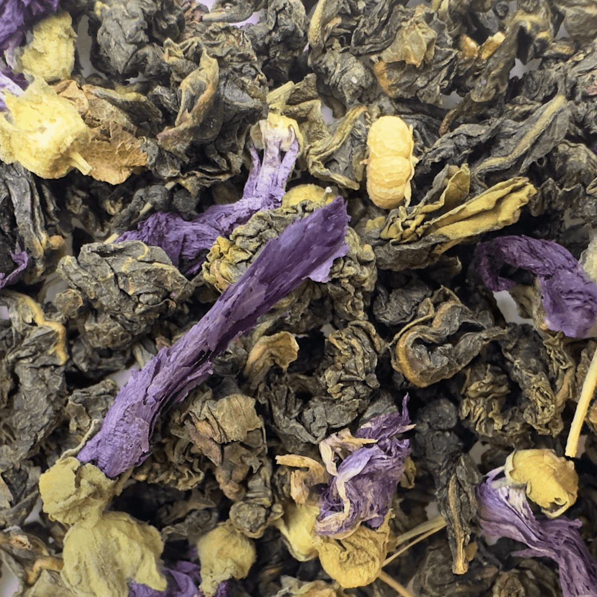Blue Spring Oolong Tea by Porter Hill Tea Company, featuring loose tea leaves with vibrant blue-green color and delicate rolled shape.