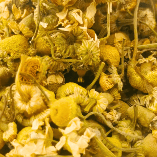 Organic chamomile herbal tea by Porter Hill Tea Company, featuring dried chamomile flowers in a cozy tea setting.