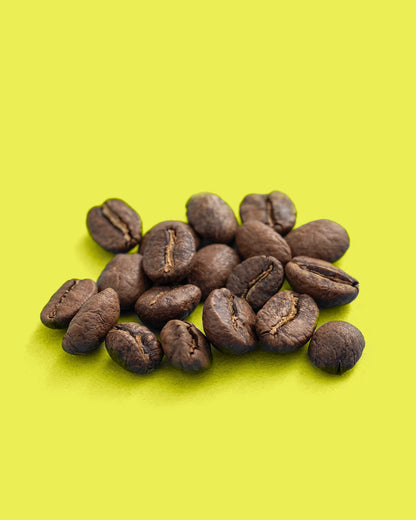 Dulima Excelso