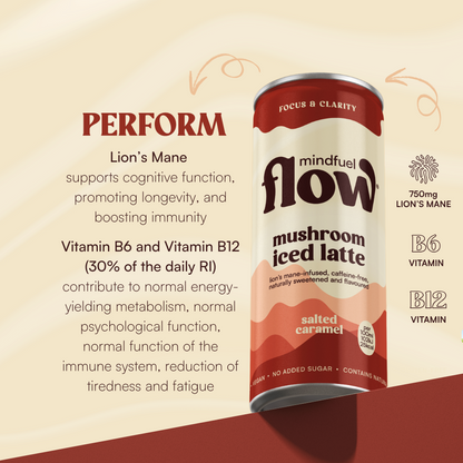 Lion's Mane Oat Latte - Salted Caramel 6x250ml