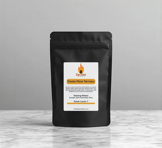 Bag of Ignite Coffee Co Costa Rica Tarrazu coffee with smooth, creamy texture featuring plum and chocolate notes.