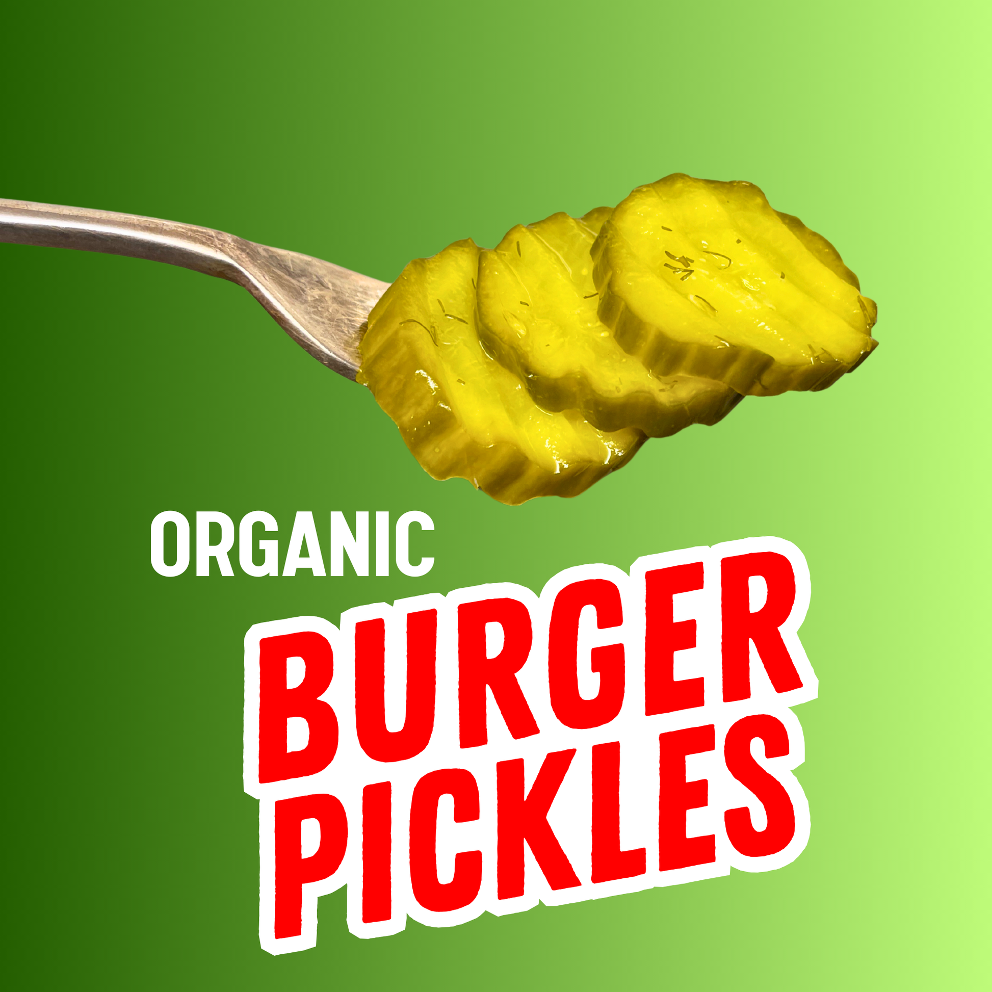 Crinkle-cut organic dill and garlic burger pickle slices on a fork, showcasing fresh, crunchy pickled cucumbers from PICKLEBITS.