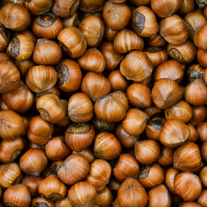 Delicious Hazelnuts: Gourmet Quality for Every Bites