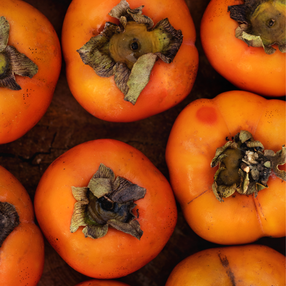 Premium Dried Persimmons: Nature's Sweetest Treat