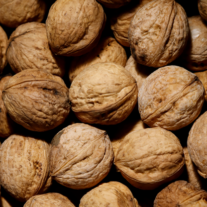 Organic Walnuts: Nature's Powerhouse of Omega-3s