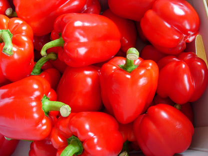 Rainy Day Pack<br/>Original Chilli Relish X 5