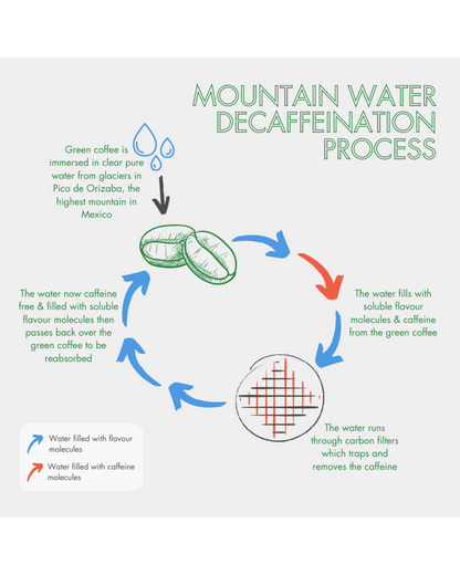 Organic decaf coffee beans from Exhale Healthy Coffee, showing the decaffeination process in a detailed diagram.