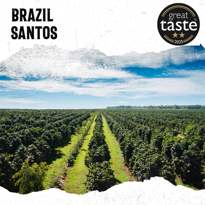 Brazil Santos Medium Roast