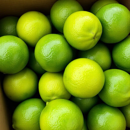 Dehydrated lime slices from JoJo’s Kitchen, round dried citrus pieces with a vibrant green color and textured surface.
