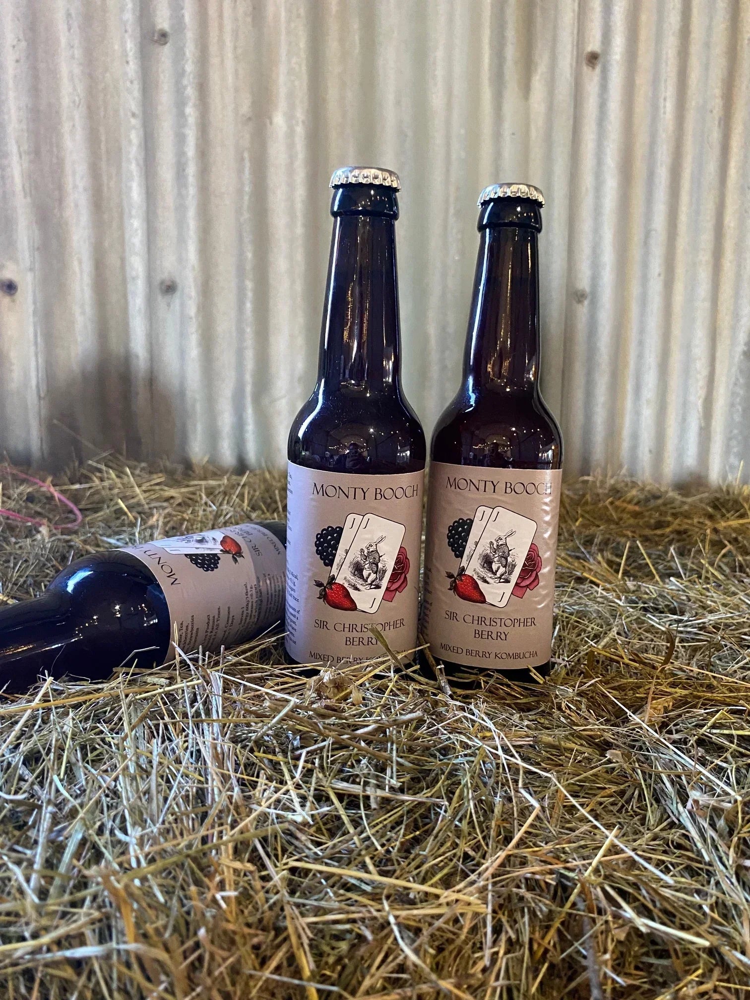 Mixed Case of Raw, Unfiltered Kombucha 330ml (12 Pack) - Monty Booch