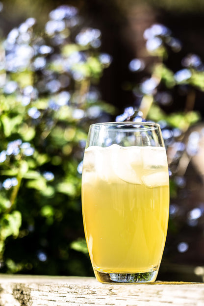 Organic Jun-Kombucha