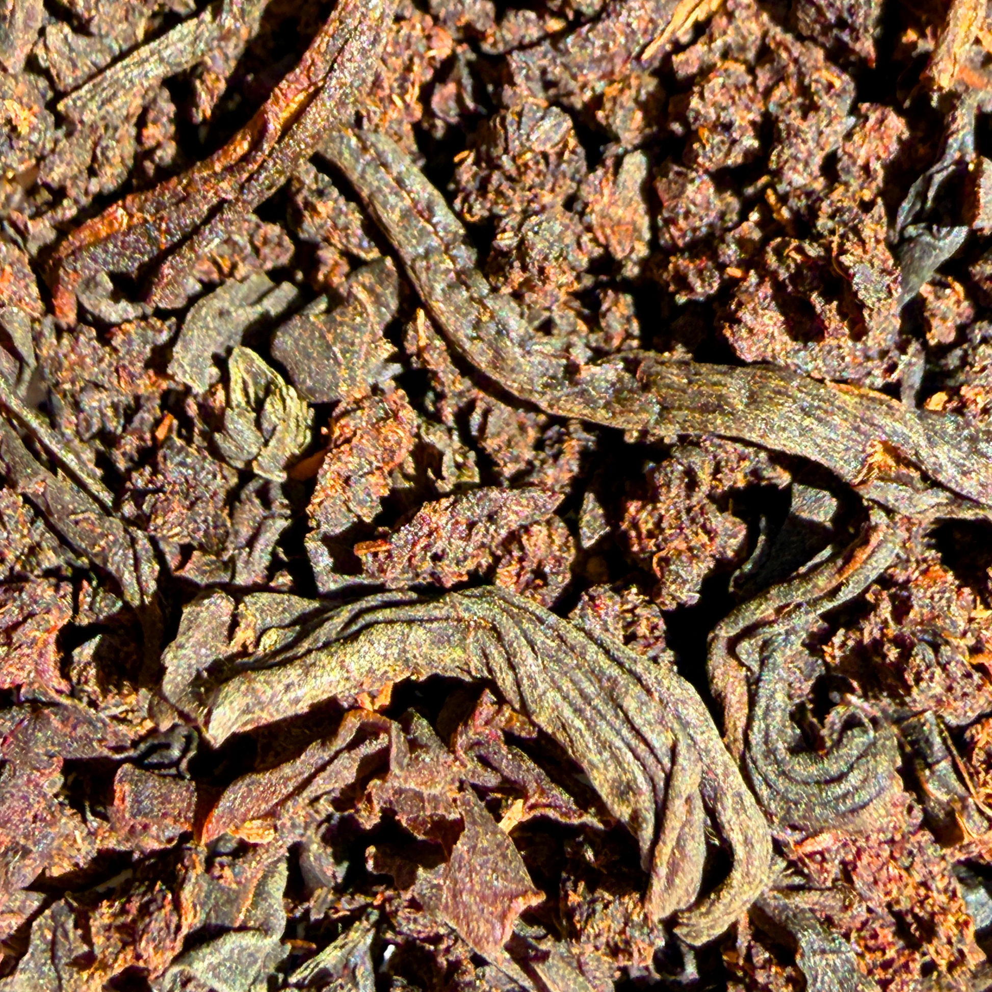 Loose leaf English Breakfast black tea from Porter Hill Tea Company, showcasing dark tea leaves in a natural, rustic presentation.