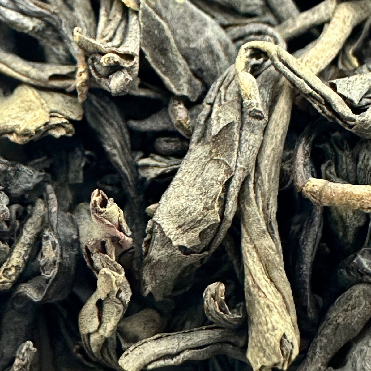 Porter Hill Tea Company's Lucky Dragon Hyson green tea leaves in a traditional tea tin.