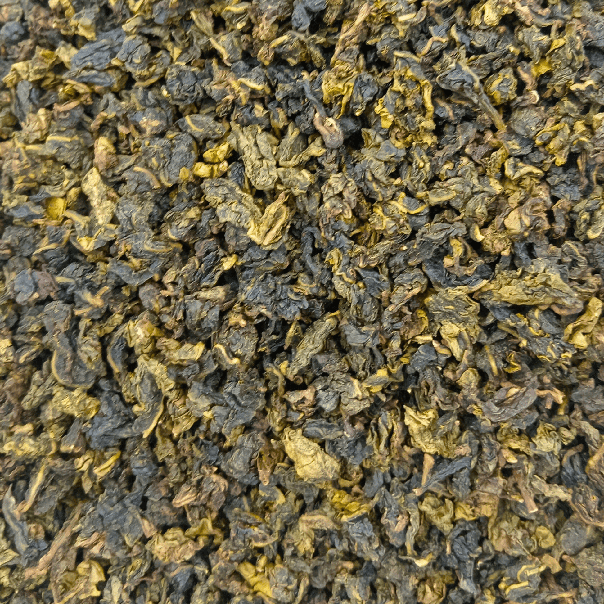 Oolong Tea