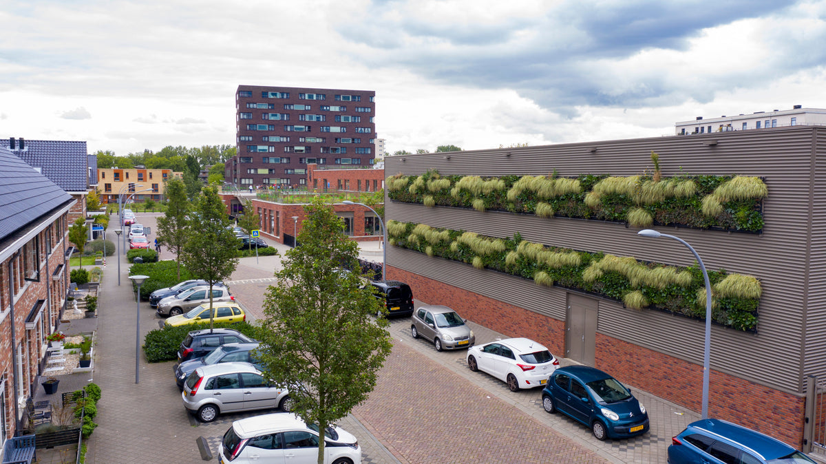 LivePanel outdoor living wall art by Botanical Boys featuring lush green plant panels on a school building exterior.