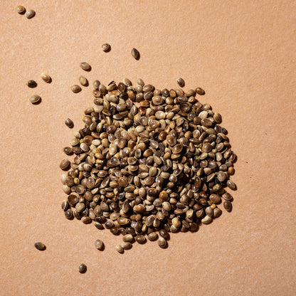 Organic hemp seeds from Whole Food Earth, various sizes, shown in a natural setting, highlighting their nutty texture and greenish color.
