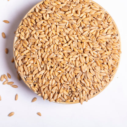 Organic Spelt Grain - Serious Grains