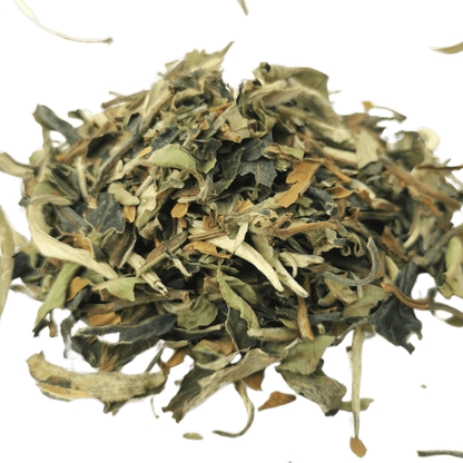 White Tea
