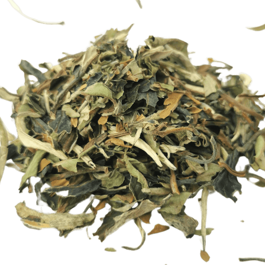 White Tea