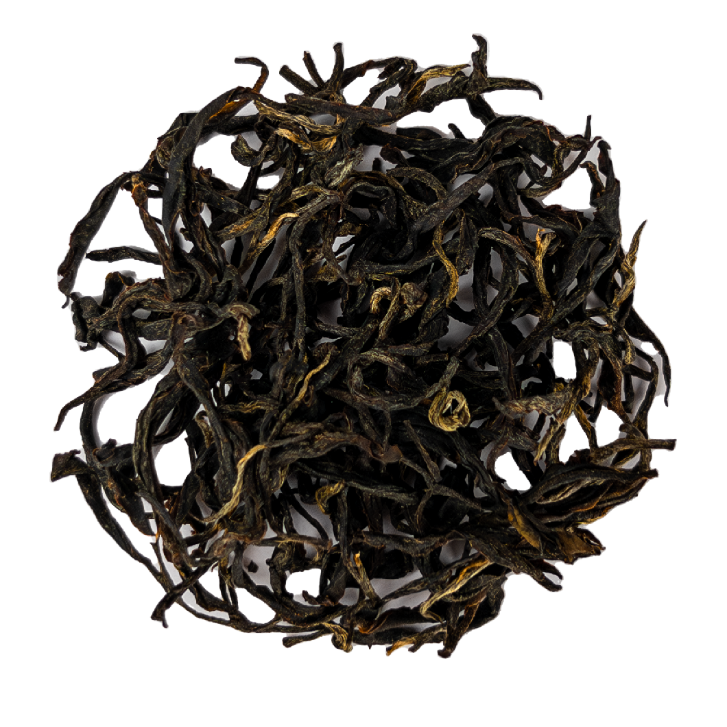 Golden Scottish grown tea leaves from Kinnettles Gold by PekoeTea Edinburgh, fresh and aromatic tea leaves on a white background.