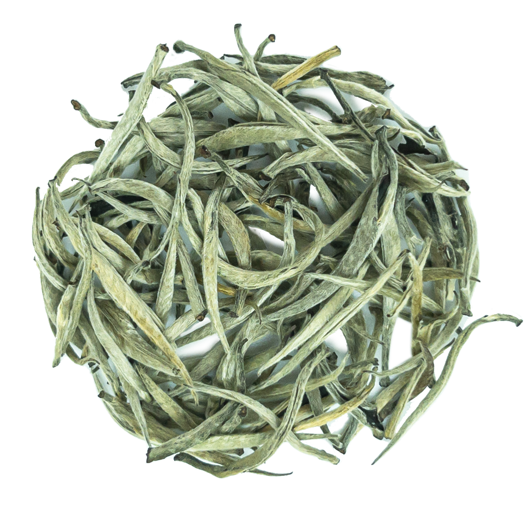 Silver tips Ceylon white tea leaves from PekoeTea Edinburgh, showcasing delicate silver-tipped tea buds.