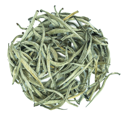Silver tips Ceylon white tea leaves from PekoeTea Edinburgh, showcasing delicate silver-tipped tea buds.