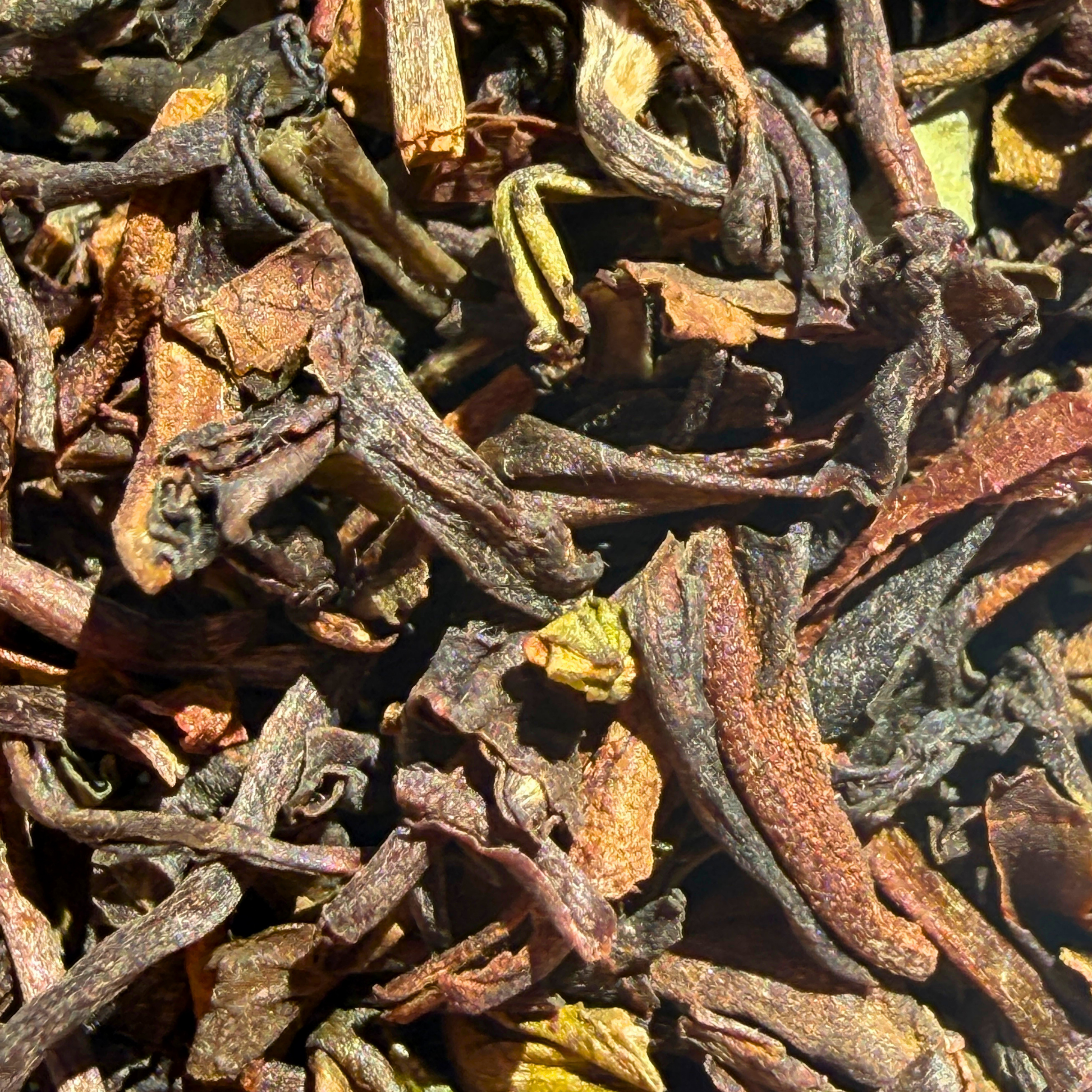 Loose leaf black tea from Porter Hill Tea Company, Margaret's Hope Darjeeling 2nd Flush TGFOP, showcasing golden tips and fragrant leaves.