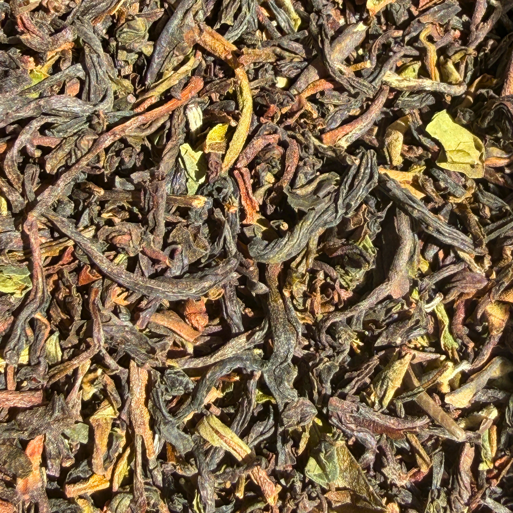 Loose leaf Margaret's Hope Darjeeling 2nd Flush TGFOP black tea from Porter Hill Tea Company, showcasing golden tips and rich leaves.