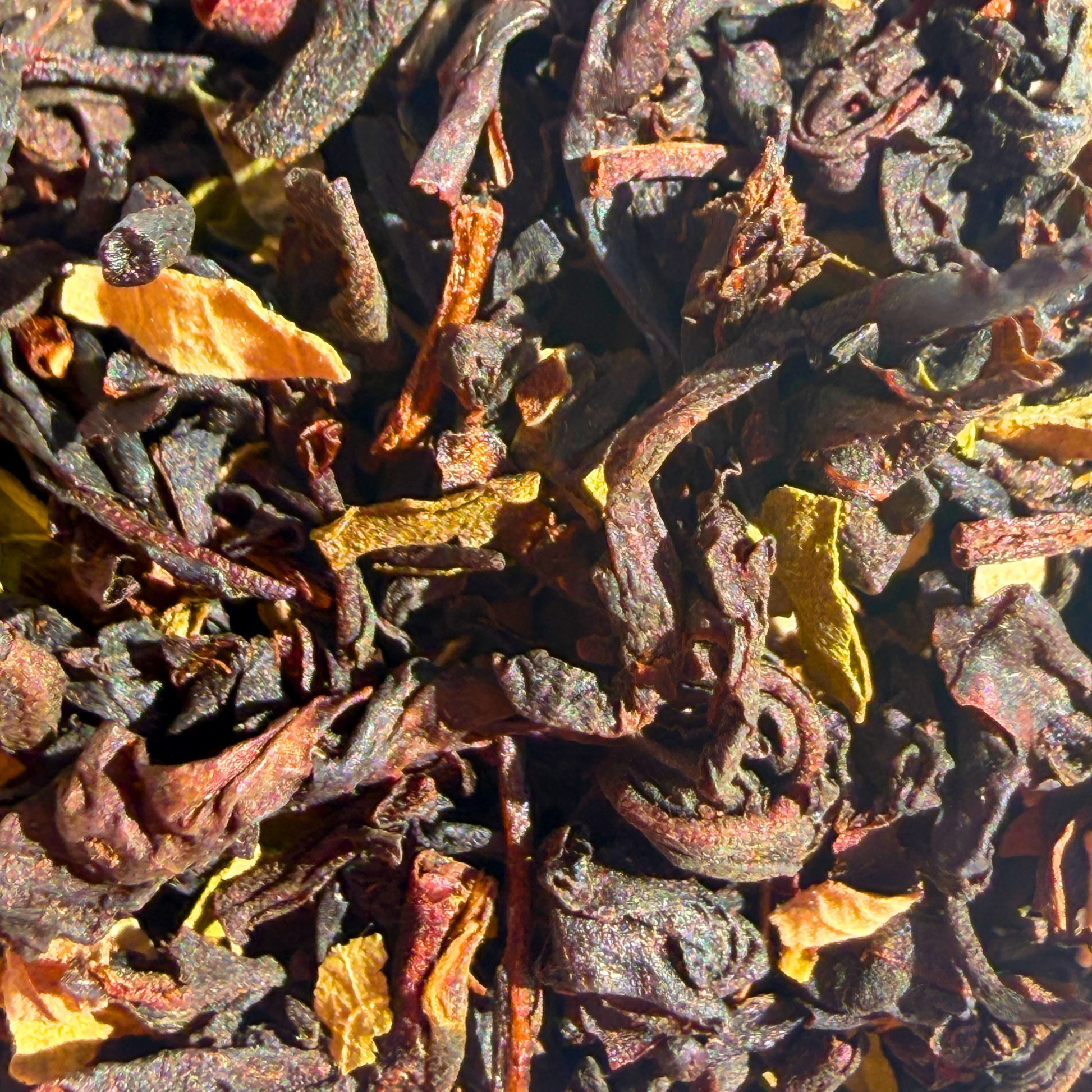 Loose leaf black tea with mint and chocolate chips from Porter Hill Tea Company, showcasing dark tea leaves mixed with mint and chocolate bits.