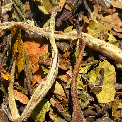 Loose leaf Pai Mu Tan white tea by Porter Hill Tea Company, showcasing delicate white peony tea leaves and buds.