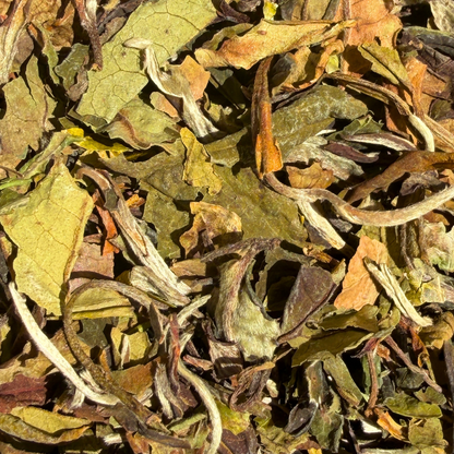 Loose leaf Pai Mu Tan white tea from Porter Hill Tea Company, showcasing delicate white peony leaves and buds.