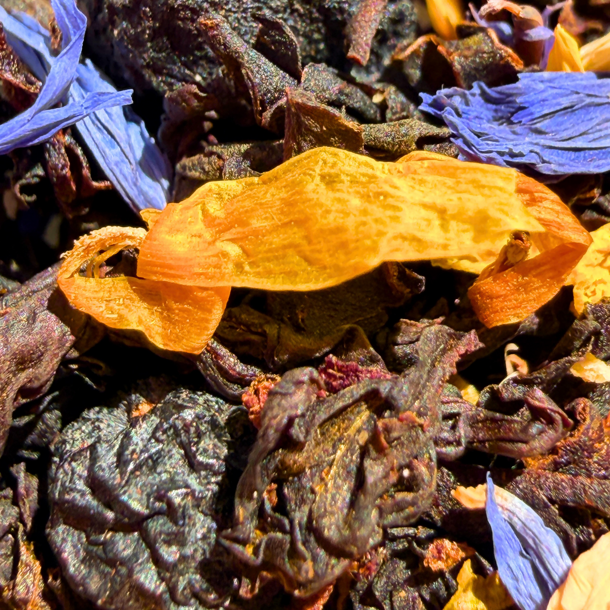 Loose leaf Blueberry Maple black tea by Porter Hill Tea Company with vibrant blueberry and maple flavor notes.
