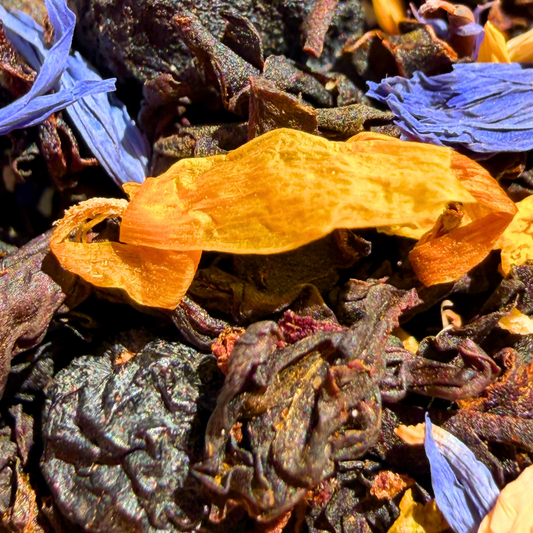 Loose leaf Blueberry Maple black tea by Porter Hill Tea Company with vibrant blueberry and maple flavor notes.